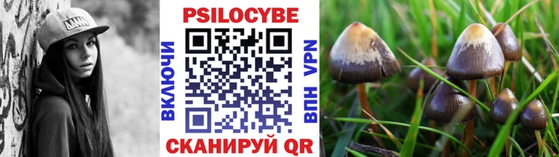 Галлюциногенные грибы мухоморы  как найти закладки  Уссурийск 